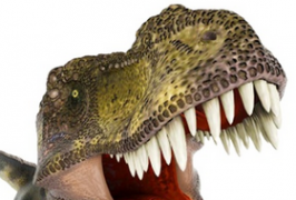 С 18 августа -- выставка динозавров!