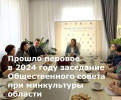 Заседание Общественного совета при министерстве культуры Ростовской области.